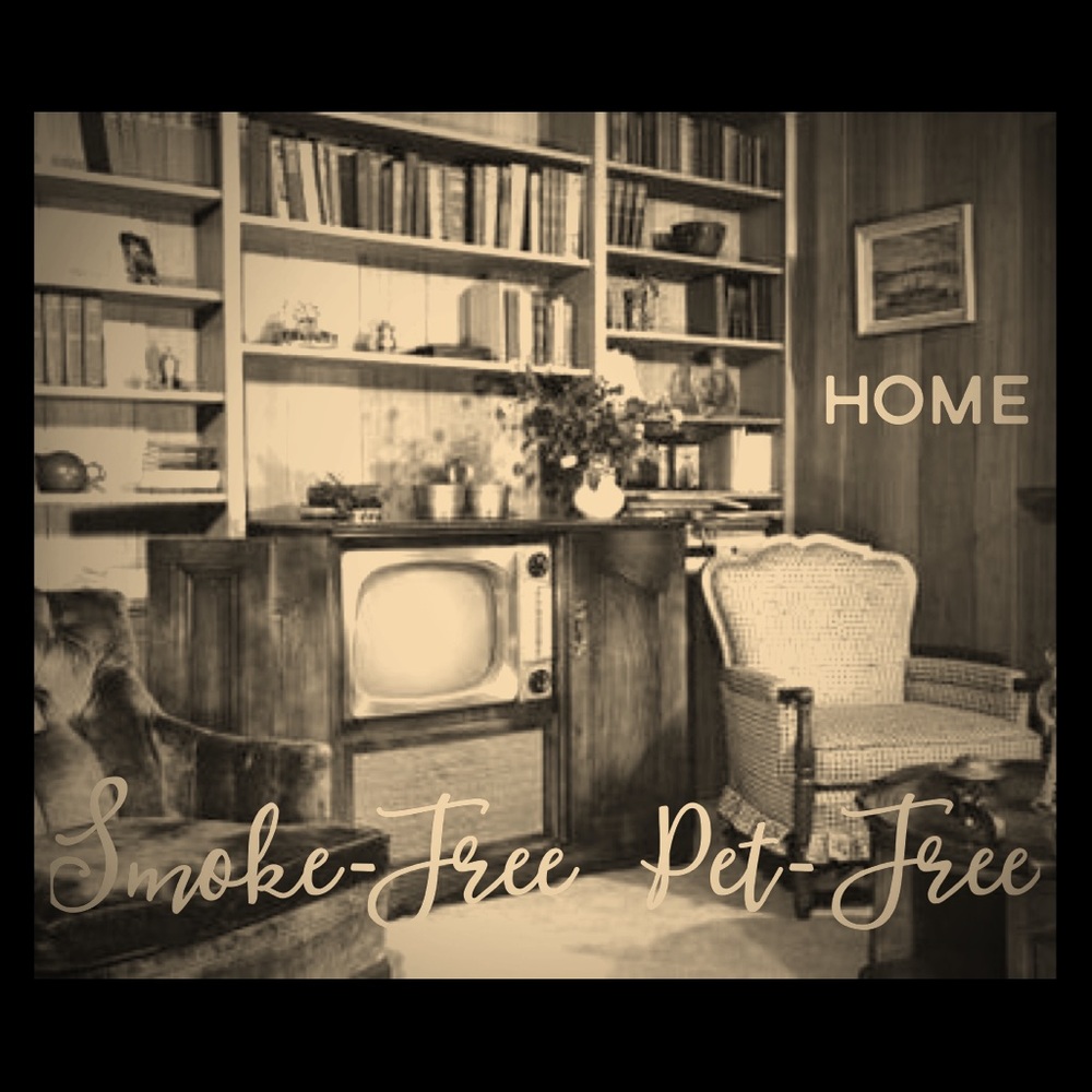 Smoke Free- Per Free- Clean items!